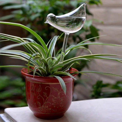 Houseplant Automatic Self Watering Glass