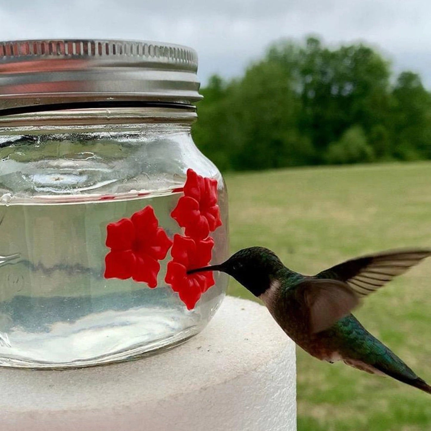 Hummingbird feeder with gate flower