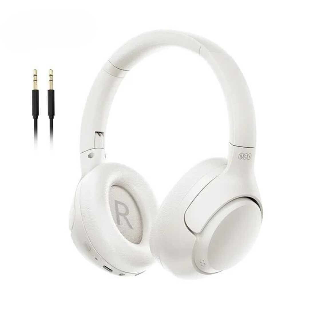 Hybrid Noise Reduction Earphones