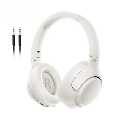 Hybrid Noise Reduction Earphones