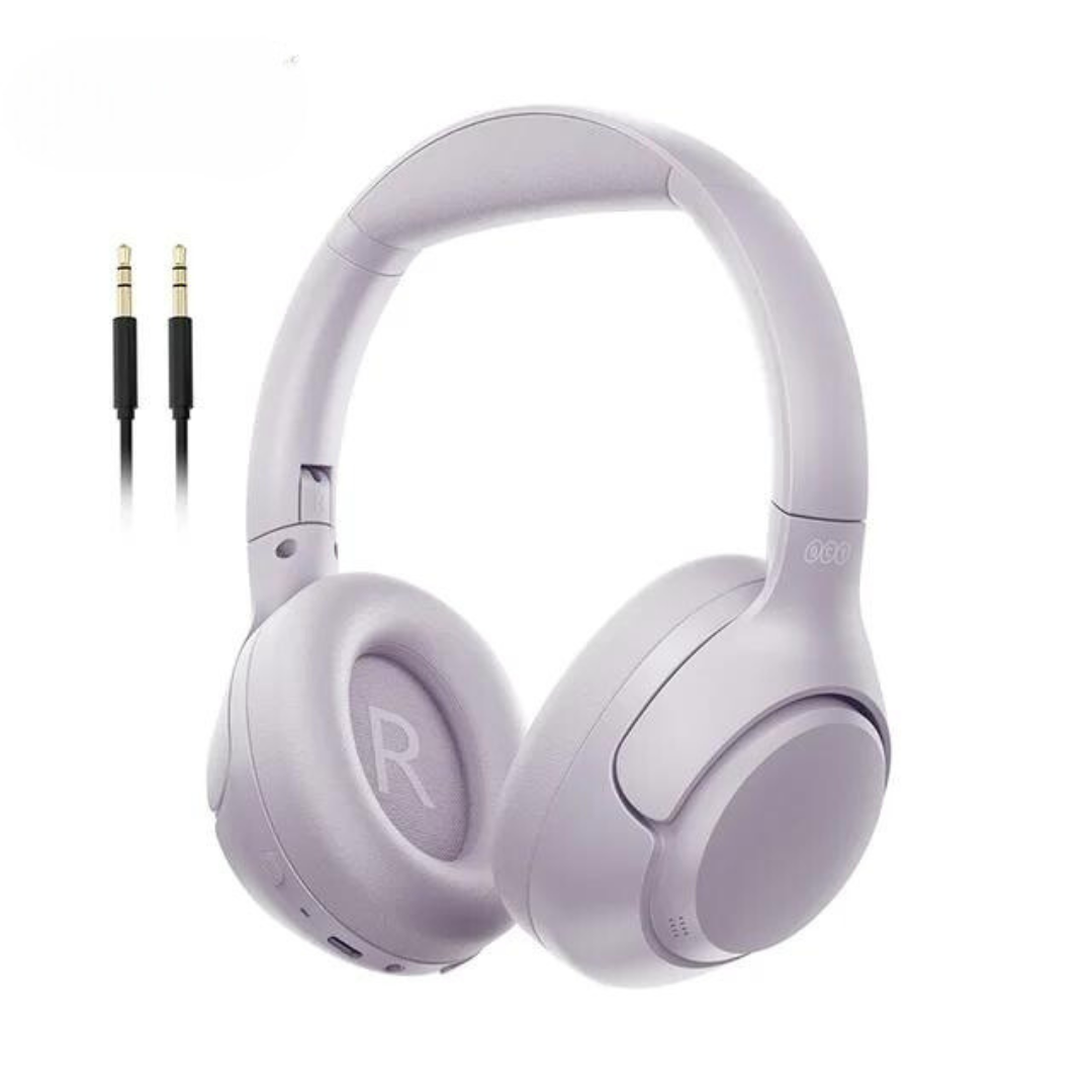 Hybrid Noise Reduction Earphones