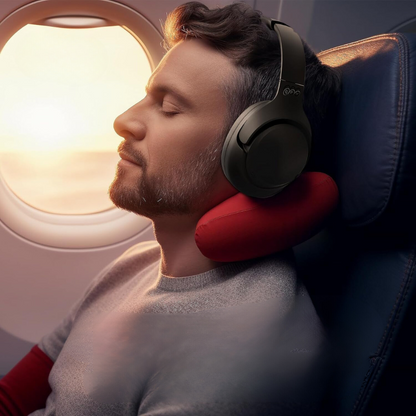 Hybrid Noise Reduction Earphones