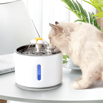 Hydration Cats Water Fountain