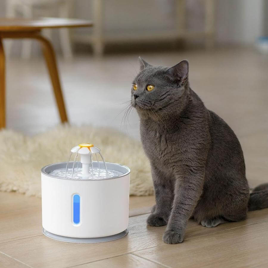 Hydration Cats Water Fountain