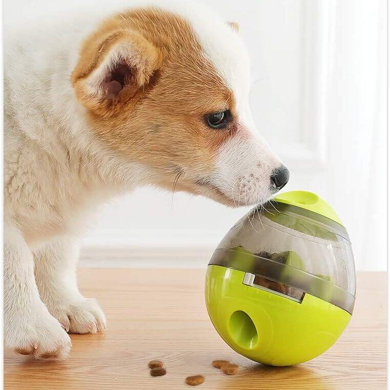 Interactive Feeding Ball for Dogs