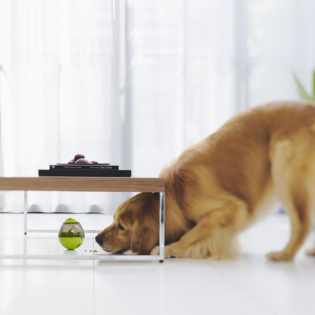 Interactive Feeding Ball for Dogs