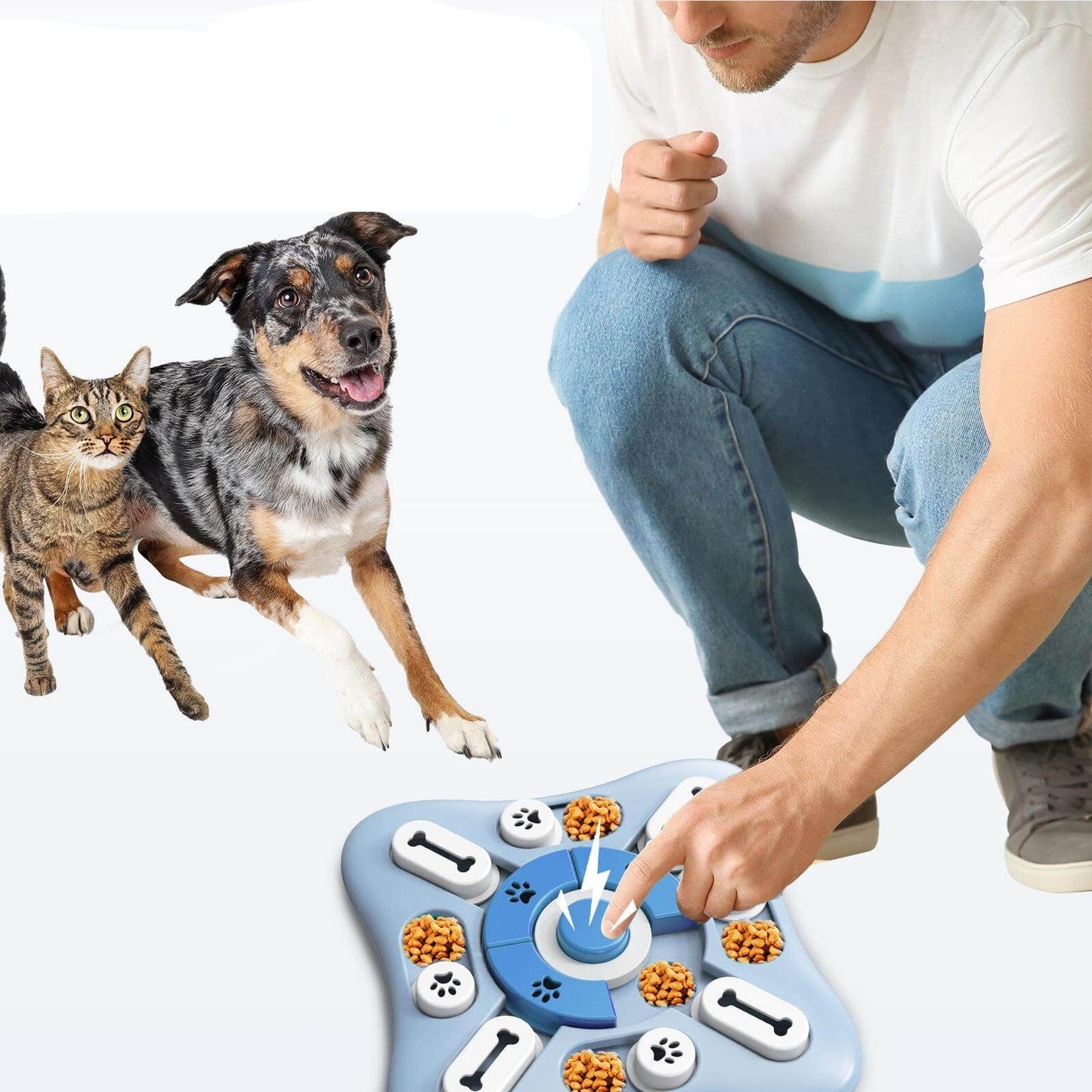 Interactive Puzzle Feeder