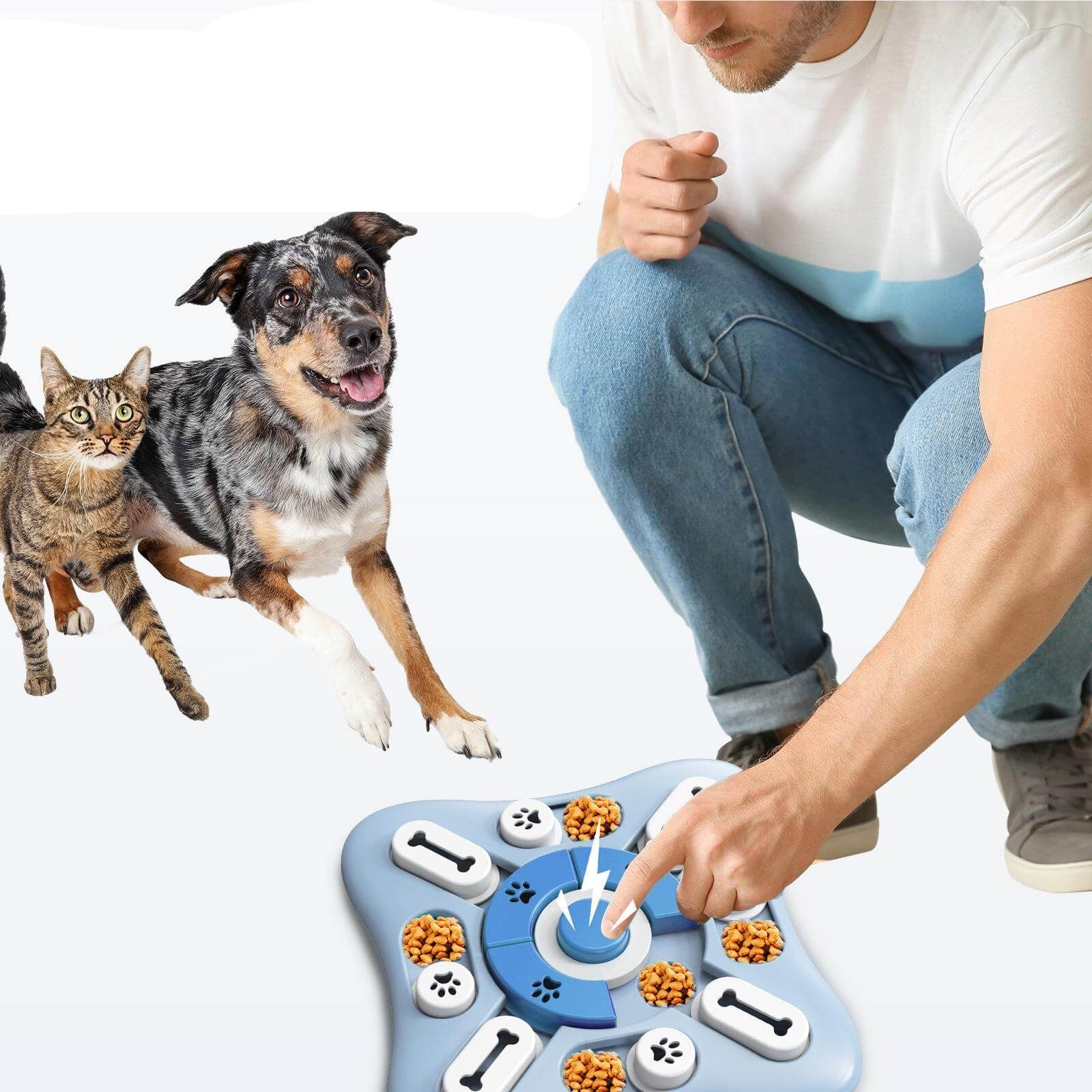 Interactive Puzzle Feeder