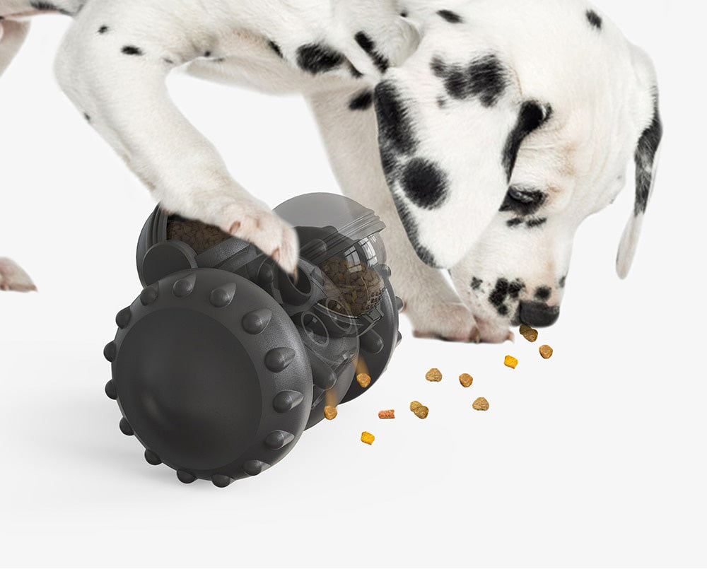 Interactive dog feeder