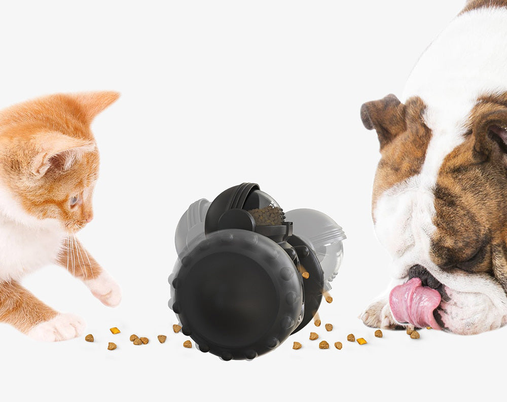 Interactive dog feeder
