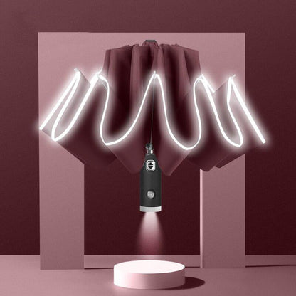 LED Light umbrella