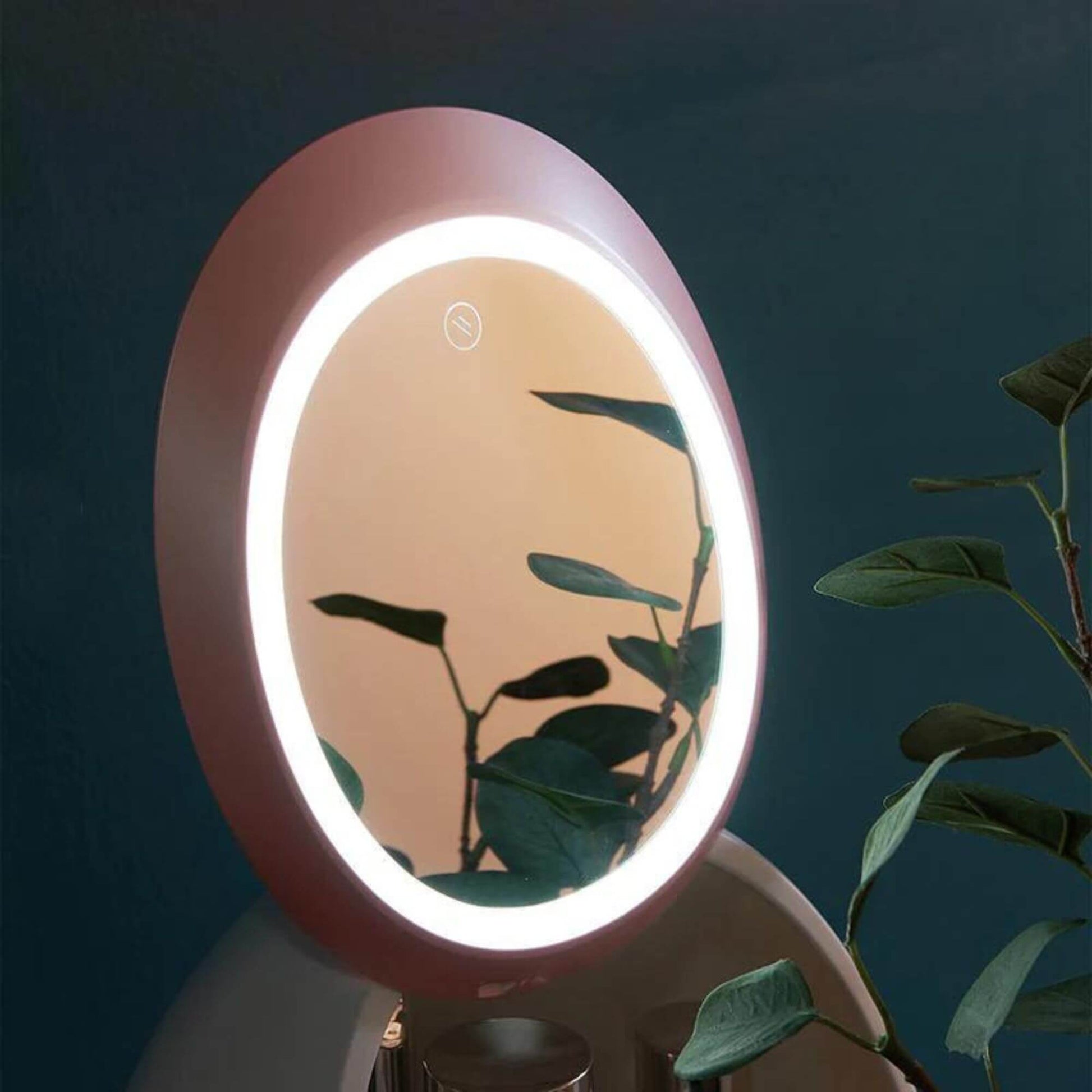 LED Mirror Cosmetic organiser