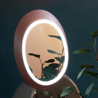 LED Mirror Cosmetic organiser