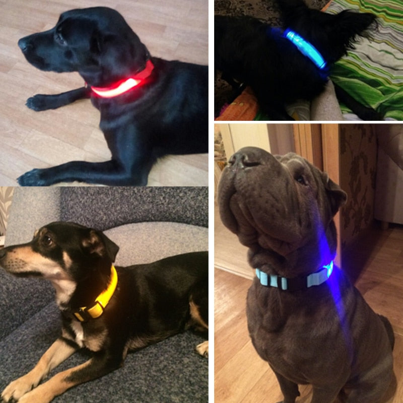 LED Necklace