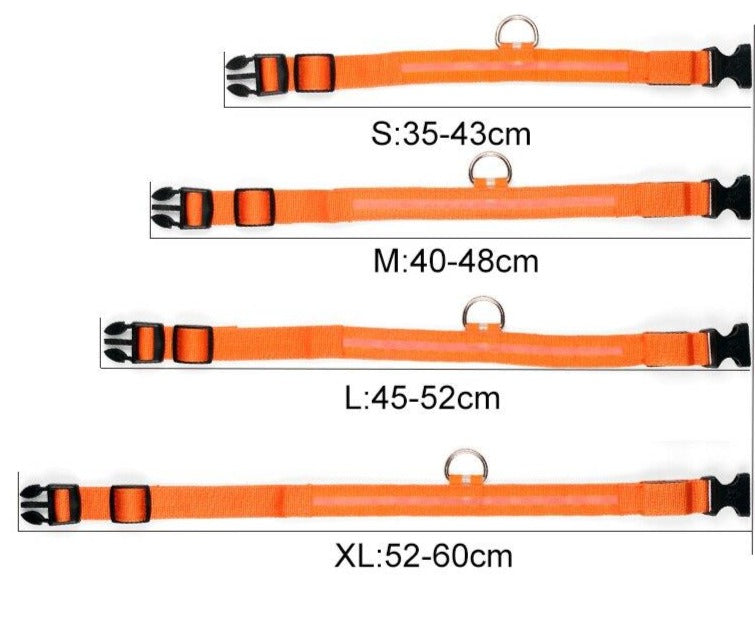 LED Necklace
