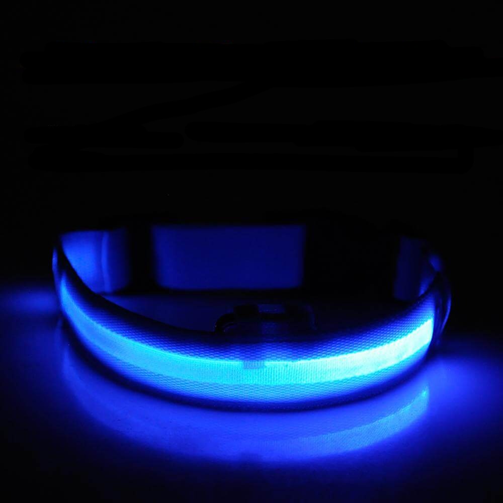 LED Necklace