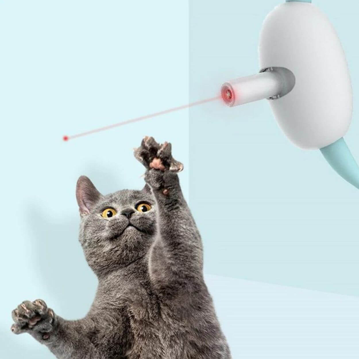 Laser Tease Cat Collar