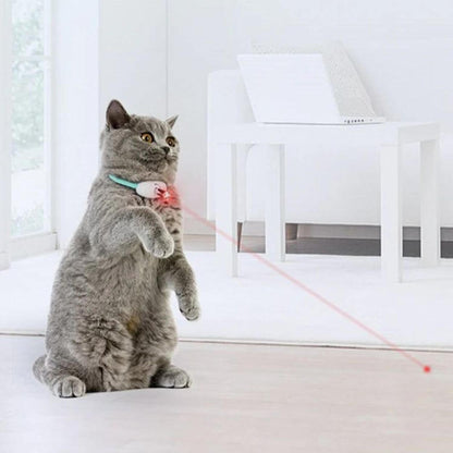 Laser Tease Cat Collar