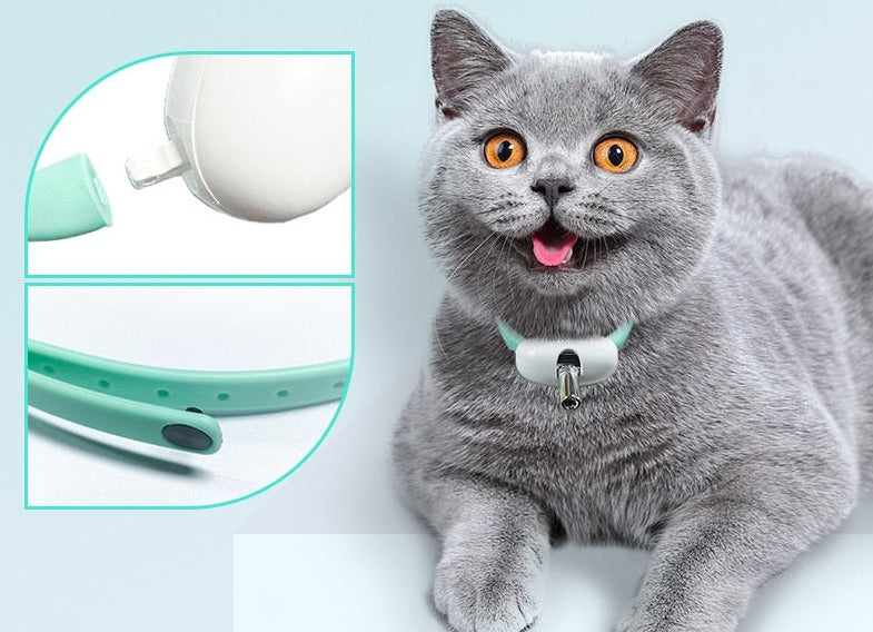 Laser Tease Cat Collar