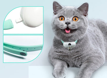 Laser Tease Cat Collar