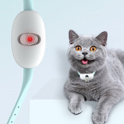 Laser Tease Cat Collar
