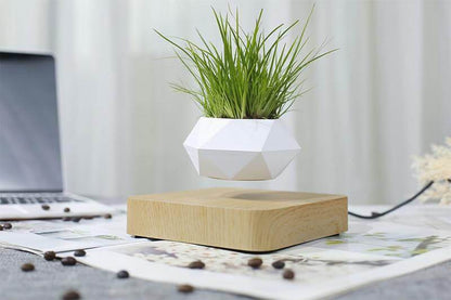 Lifting Bonsai Pot