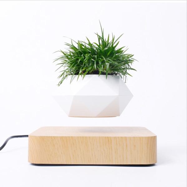Lifting Bonsai Pot