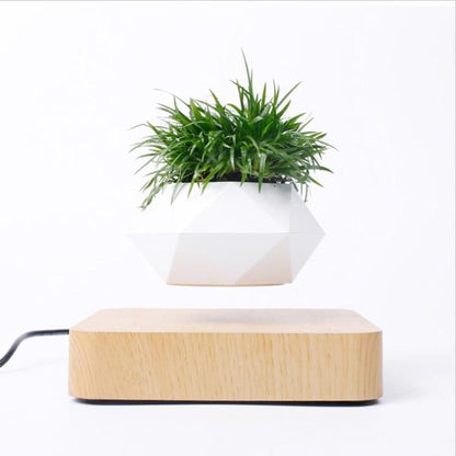 Lifting Bonsai Pot