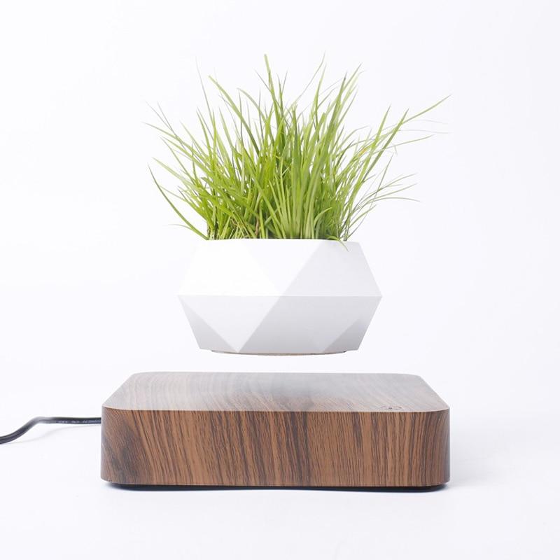 Lifting Bonsai Pot