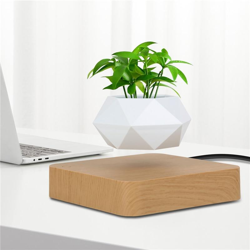 Lifting Bonsai Pot