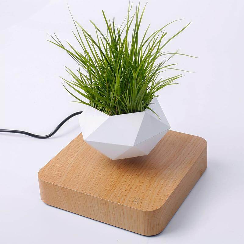 Lifting Bonsai Pot