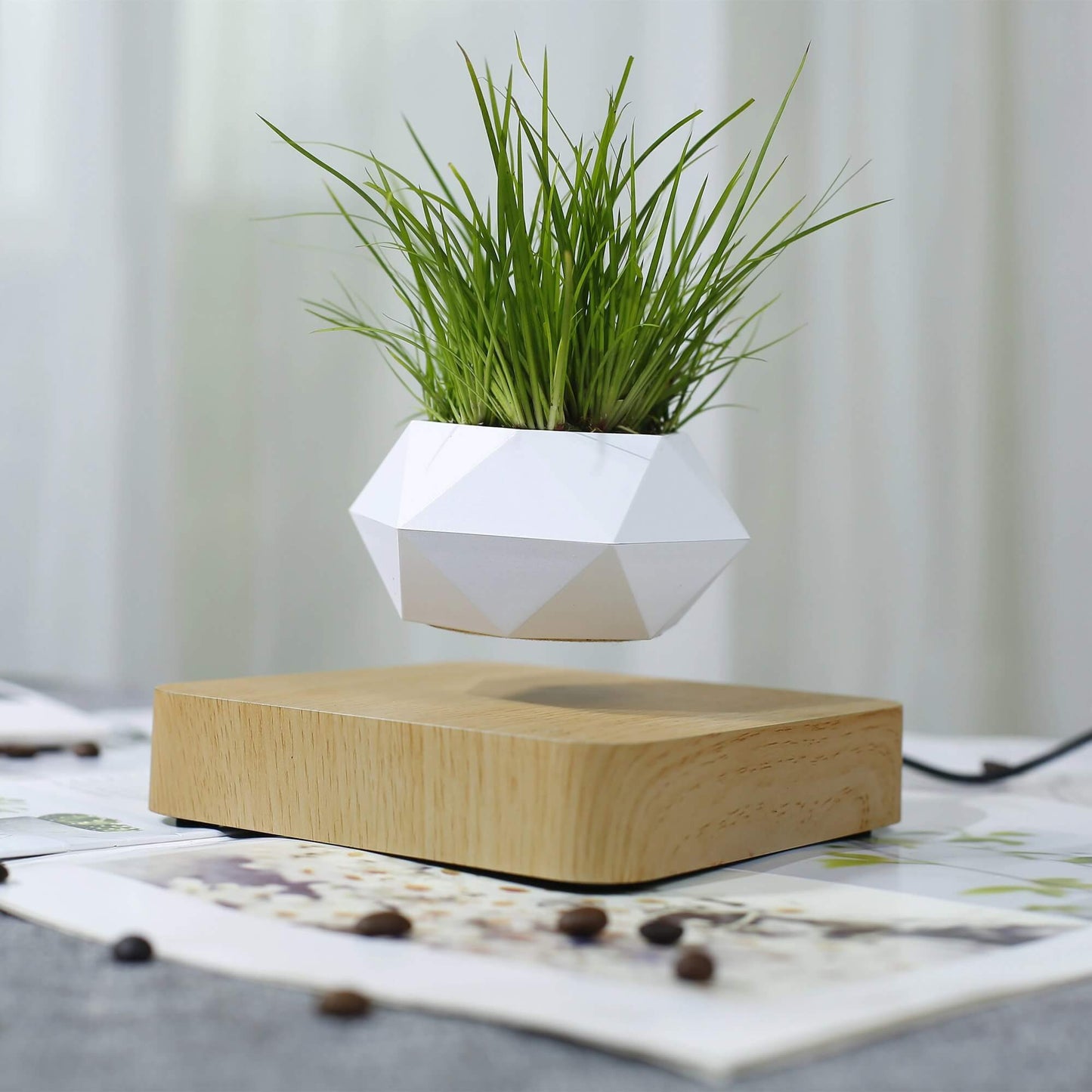 Lifting Bonsai Pot