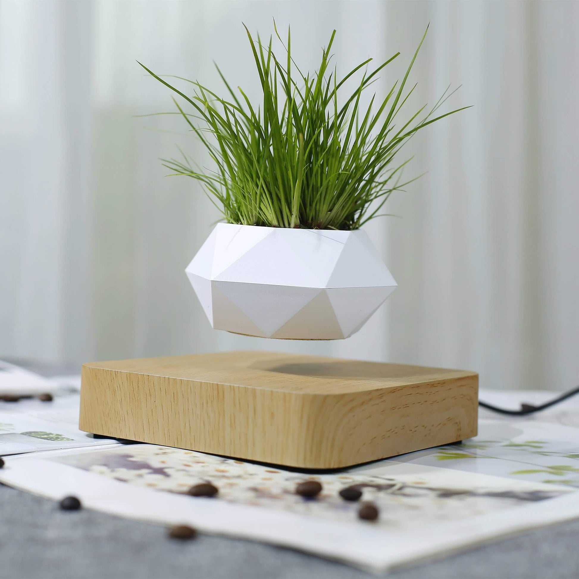 Lifting Bonsai Pot