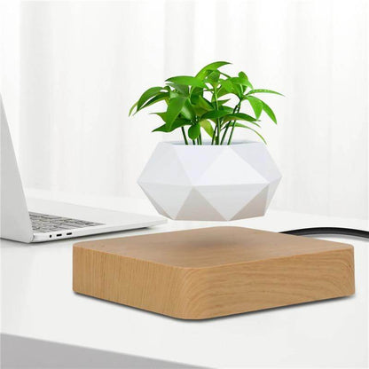 Lifting Bonsai Pot