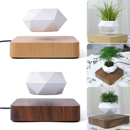 Lifting Bonsai Pot