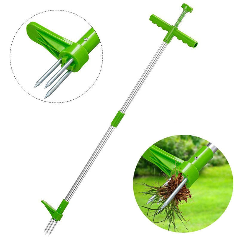Long-handled weed remover