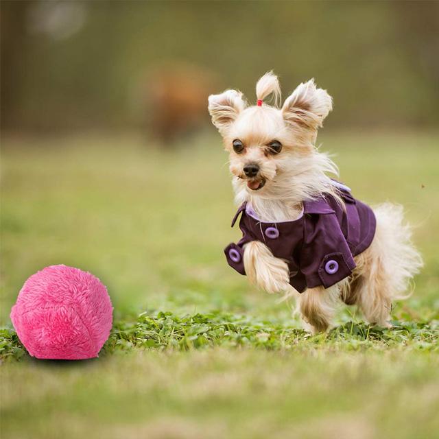 Magic Roller Ball