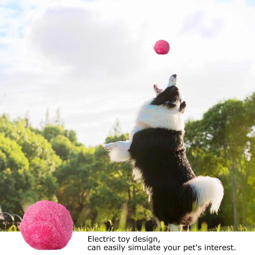 Magic Roller Ball