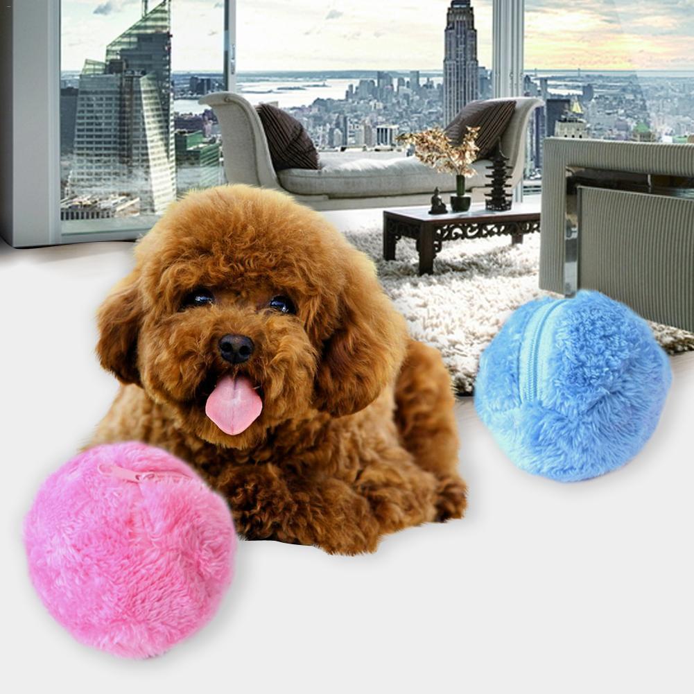 Magic Roller Ball
