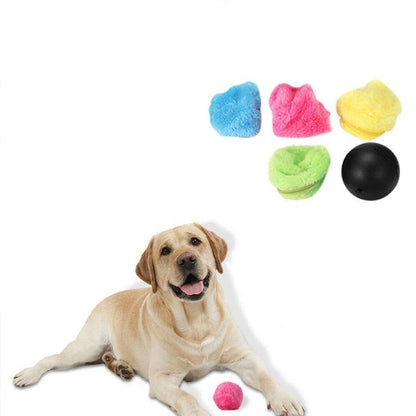 Magic Roller Ball