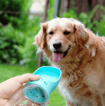 Outdoor Pet Water Bottle