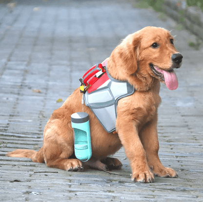 Outdoor Pet Water Bottle