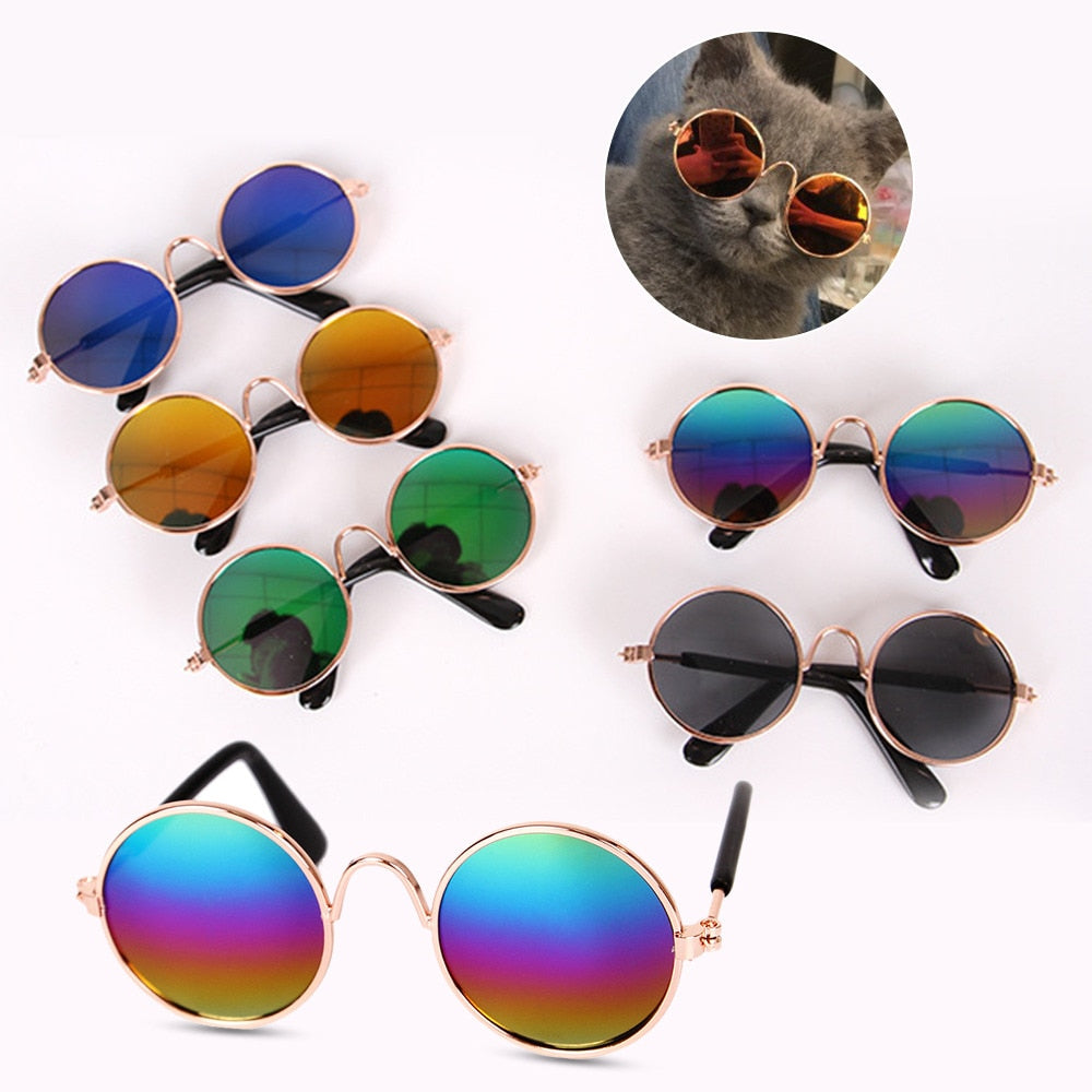 Pet Round Retro Sunglasses