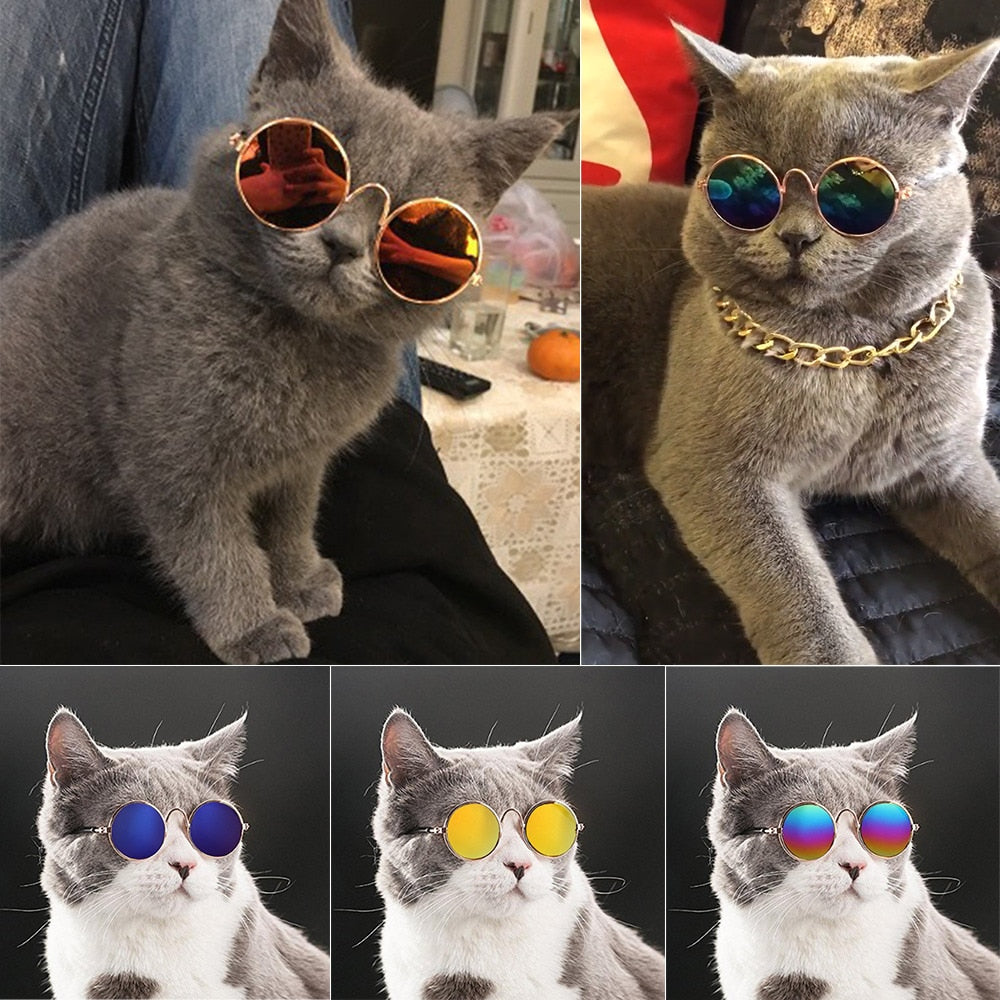 Pet Round Retro Sunglasses