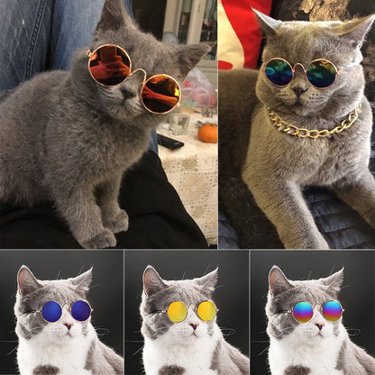 Pet Round Retro Sunglasses