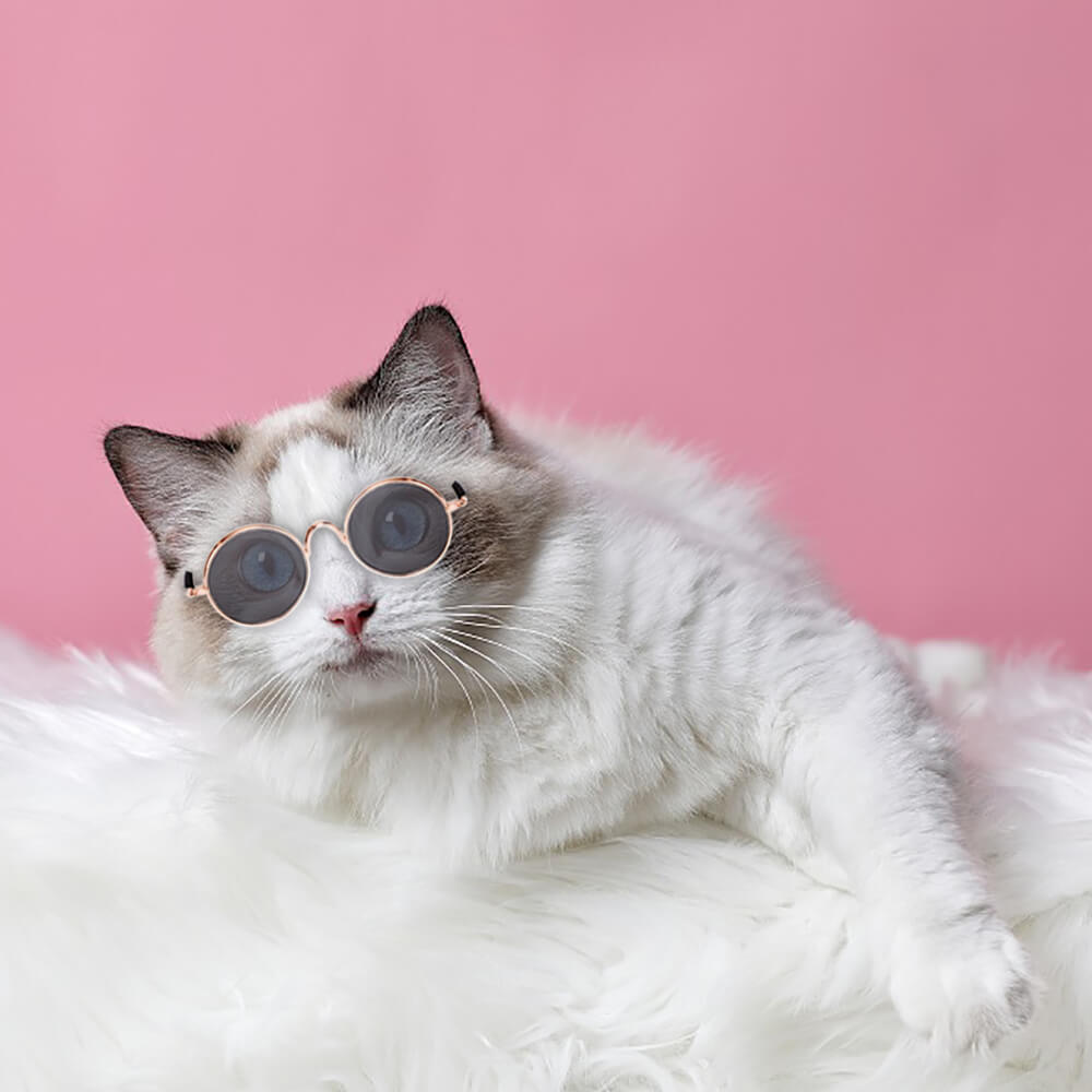 Pet Round Retro Sunglasses