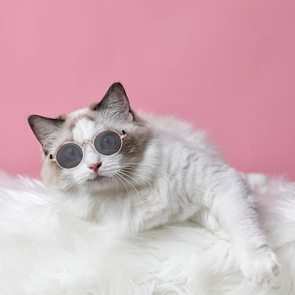 Pet Round Retro Sunglasses