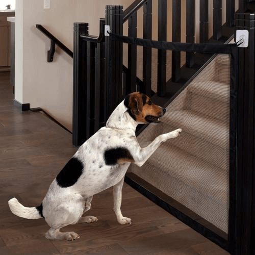 Pet Safety Door Guard