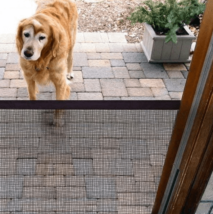 Pet Safety Door Guard