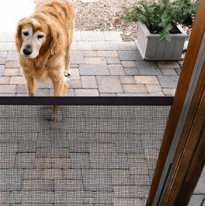 Pet Safety Door Guard